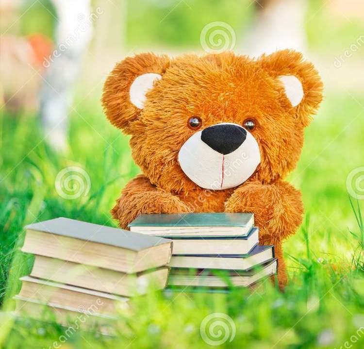 медведь-игрушки-сидит-с-книги-в-саде-115985928